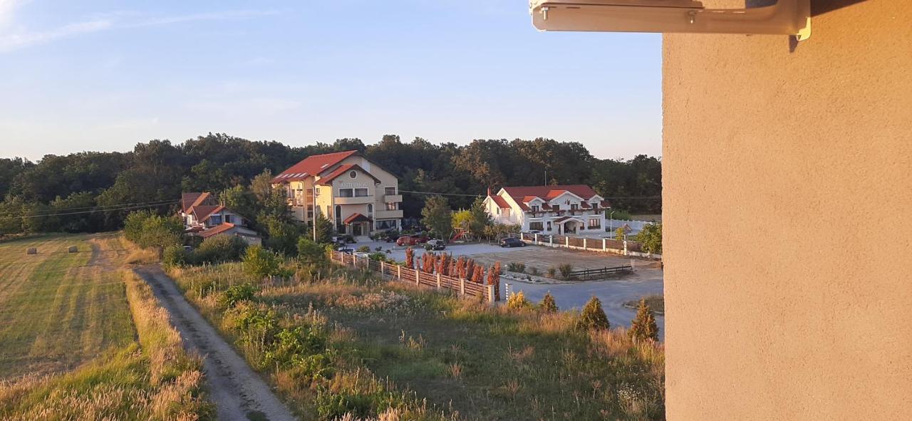 Apartament 2 Camere Lucian Băile Felix Eksteriør billede